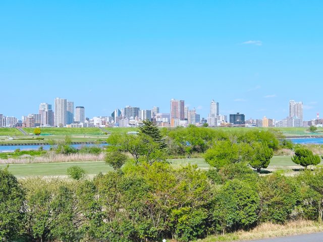 東京都江戸川区から見える高層タワーと河川敷ののどかな風景