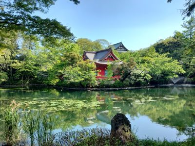 東京都武蔵野市にある井の頭公園と豊かな自然の風景
