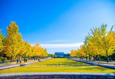 東京都立川市にある昭和記念公園と豊かな自然の風景