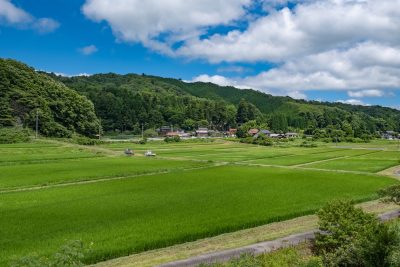 鳥取県日南町の田園風景とのどかな町並み