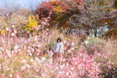 家族で選んだ“生きる場所”──東京から長野へ。自然とともに育む、わたしたちの暮らし | おすすめ移住先