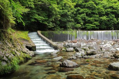 和歌山北山村の上流を流れる四ノ川