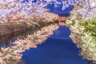 山形県米沢市松が岬公園の有名な桜の風景