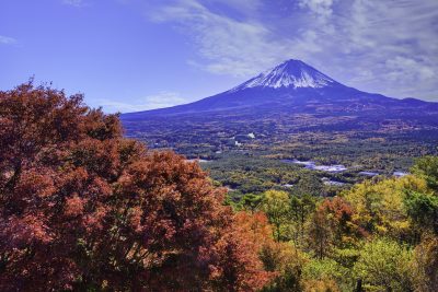 山梨県鳴沢村の紅葉と富士山の風景