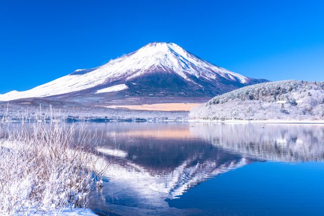 山梨県山中湖村の山中湖湖畔と富士山の景観